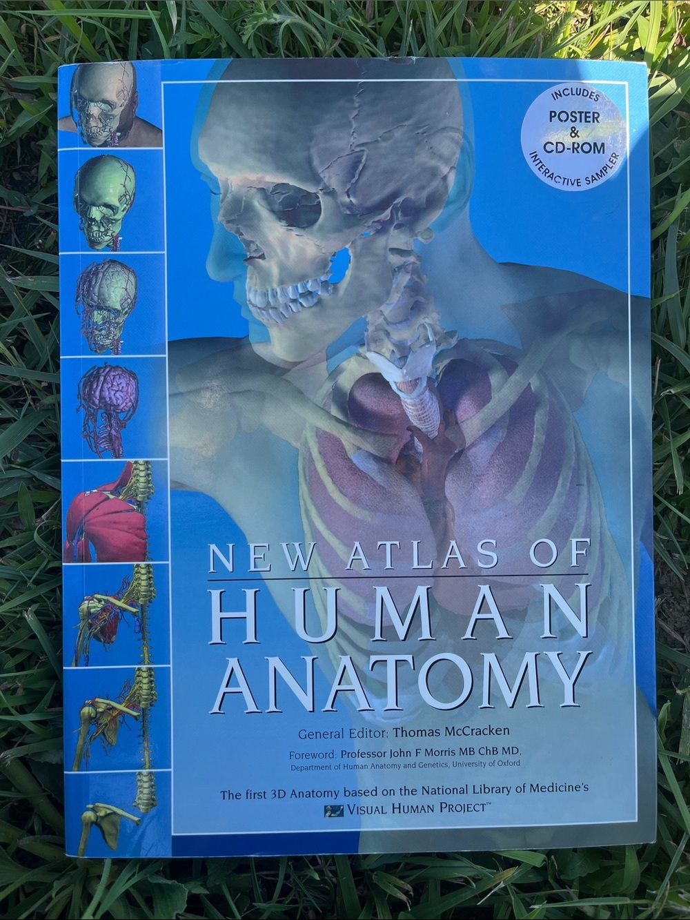 New Atlas of Human Anatomy by Thomas McCracken